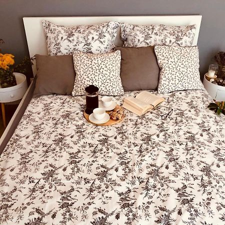 Nova Motlava Old Town Apartment غدانسك المظهر الخارجي الصورة